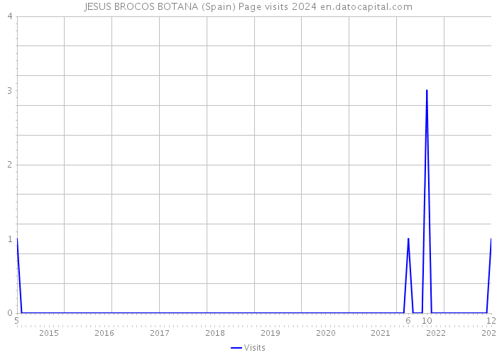 JESUS BROCOS BOTANA (Spain) Page visits 2024 