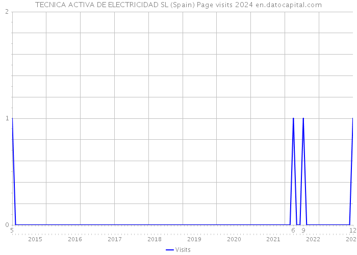 TECNICA ACTIVA DE ELECTRICIDAD SL (Spain) Page visits 2024 