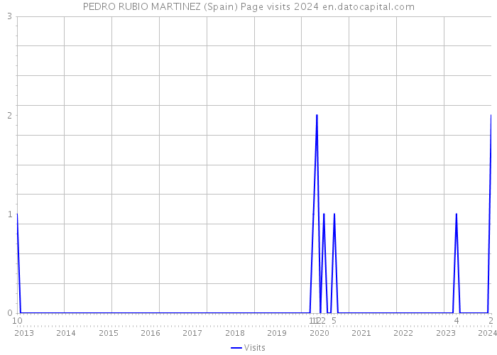 PEDRO RUBIO MARTINEZ (Spain) Page visits 2024 