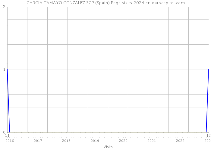 GARCIA TAMAYO GONZALEZ SCP (Spain) Page visits 2024 