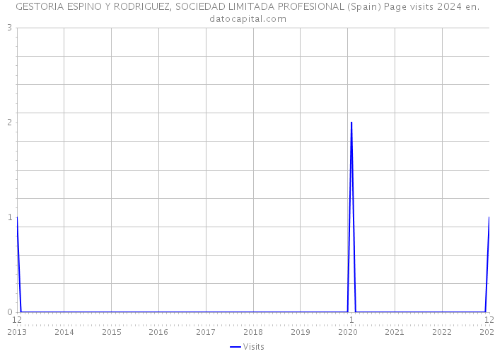 GESTORIA ESPINO Y RODRIGUEZ, SOCIEDAD LIMITADA PROFESIONAL (Spain) Page visits 2024 