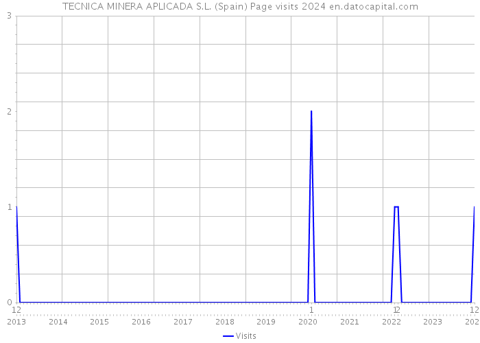 TECNICA MINERA APLICADA S.L. (Spain) Page visits 2024 