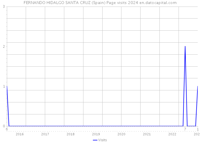 FERNANDO HIDALGO SANTA CRUZ (Spain) Page visits 2024 