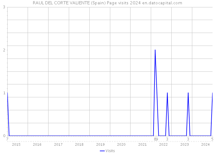 RAUL DEL CORTE VALIENTE (Spain) Page visits 2024 