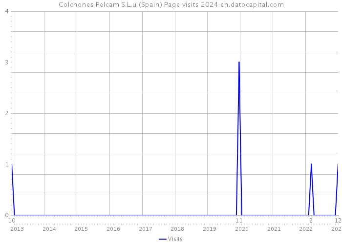 Colchones Pelcam S.L.u (Spain) Page visits 2024 
