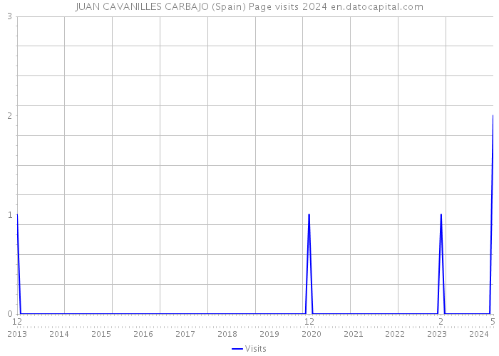 JUAN CAVANILLES CARBAJO (Spain) Page visits 2024 