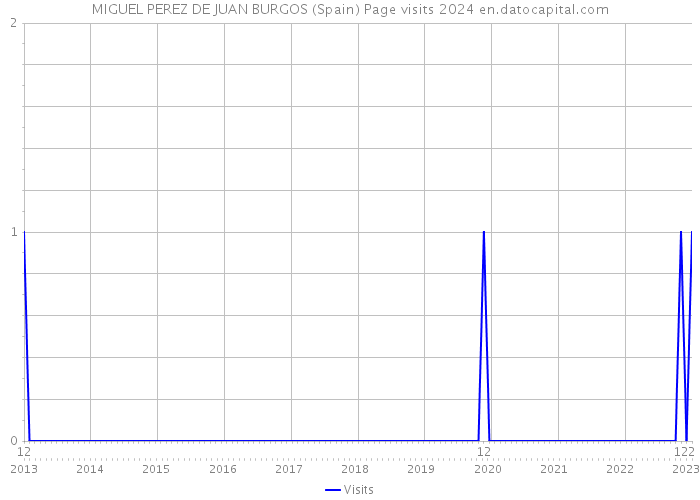 MIGUEL PEREZ DE JUAN BURGOS (Spain) Page visits 2024 