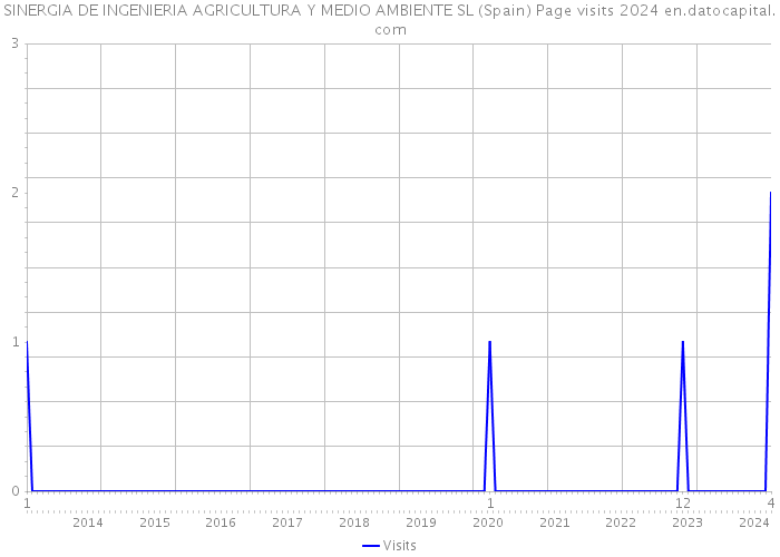 SINERGIA DE INGENIERIA AGRICULTURA Y MEDIO AMBIENTE SL (Spain) Page visits 2024 