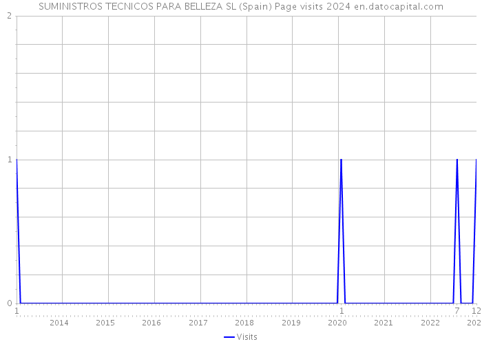 SUMINISTROS TECNICOS PARA BELLEZA SL (Spain) Page visits 2024 
