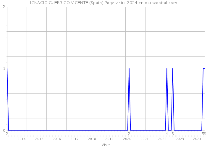 IGNACIO GUERRICO VICENTE (Spain) Page visits 2024 