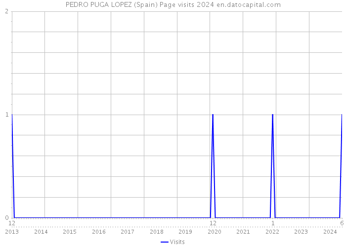 PEDRO PUGA LOPEZ (Spain) Page visits 2024 