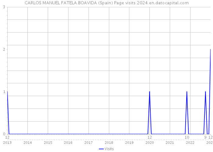 CARLOS MANUEL FATELA BOAVIDA (Spain) Page visits 2024 