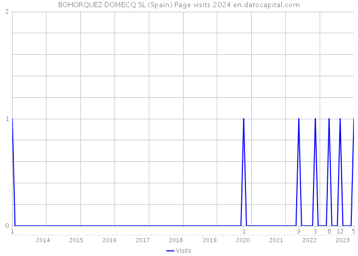 BOHORQUEZ DOMECQ SL (Spain) Page visits 2024 