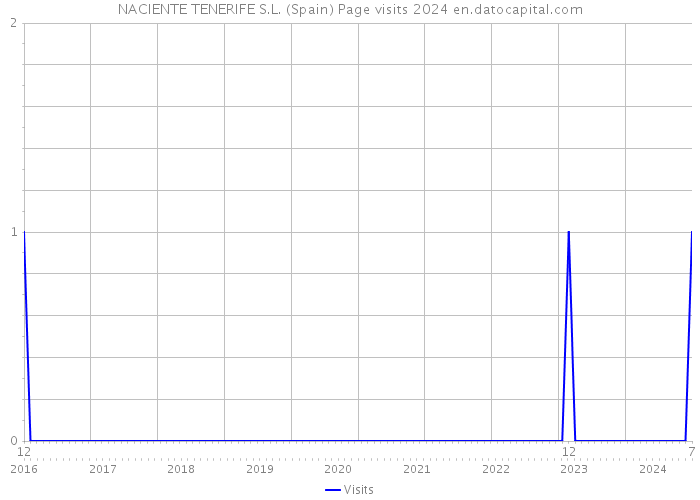 NACIENTE TENERIFE S.L. (Spain) Page visits 2024 