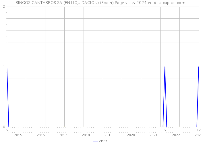 BINGOS CANTABROS SA (EN LIQUIDACION) (Spain) Page visits 2024 