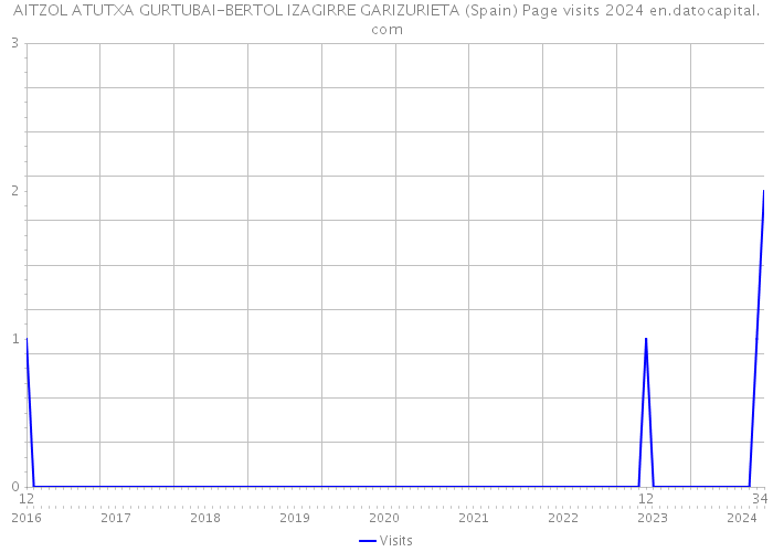 AITZOL ATUTXA GURTUBAI-BERTOL IZAGIRRE GARIZURIETA (Spain) Page visits 2024 