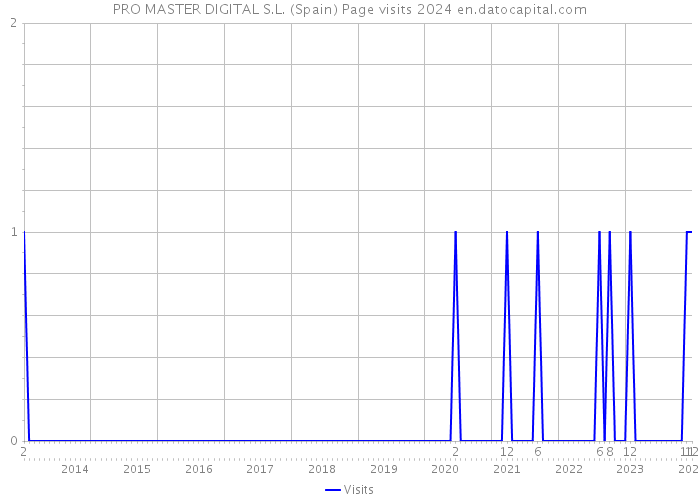 PRO MASTER DIGITAL S.L. (Spain) Page visits 2024 