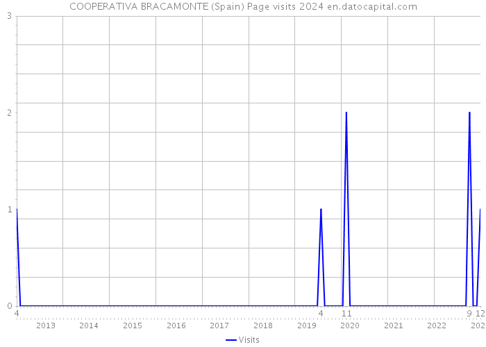 COOPERATIVA BRACAMONTE (Spain) Page visits 2024 