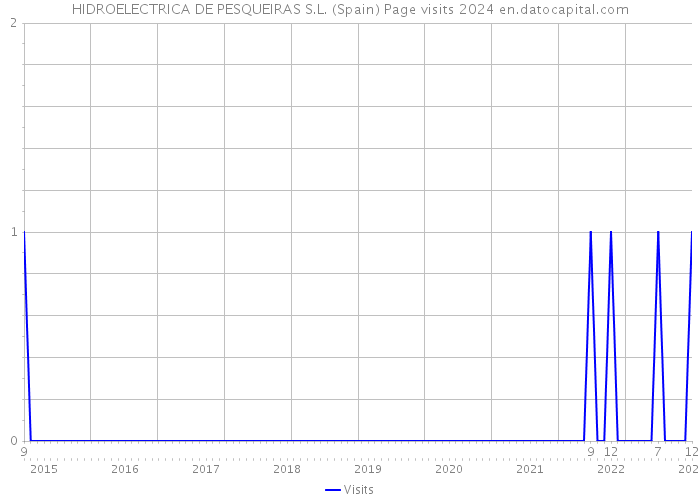 HIDROELECTRICA DE PESQUEIRAS S.L. (Spain) Page visits 2024 