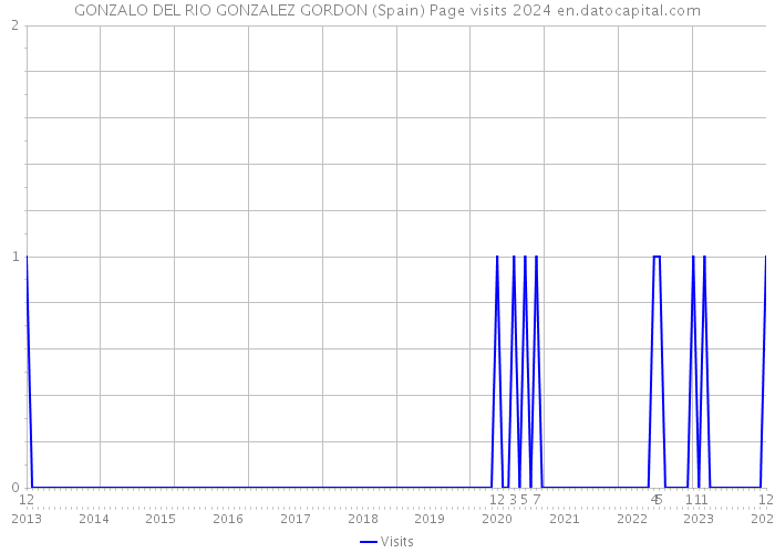 GONZALO DEL RIO GONZALEZ GORDON (Spain) Page visits 2024 