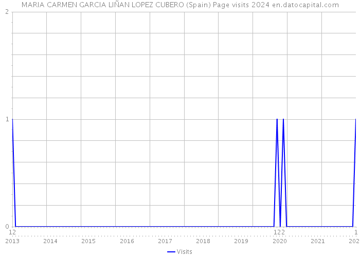 MARIA CARMEN GARCIA LIÑAN LOPEZ CUBERO (Spain) Page visits 2024 