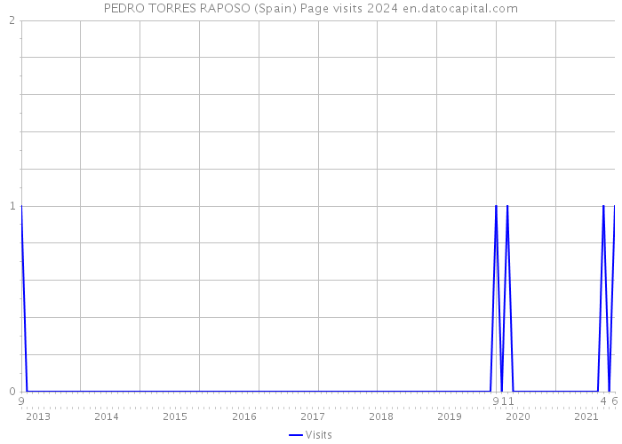 PEDRO TORRES RAPOSO (Spain) Page visits 2024 