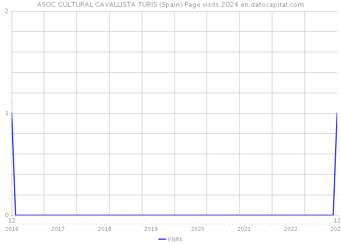 ASOC CULTURAL CAVALLISTA TURIS (Spain) Page visits 2024 