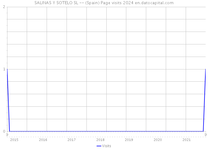 SALINAS Y SOTELO SL -- (Spain) Page visits 2024 