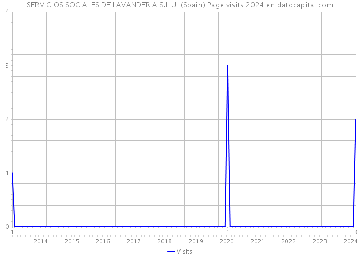SERVICIOS SOCIALES DE LAVANDERIA S.L.U. (Spain) Page visits 2024 