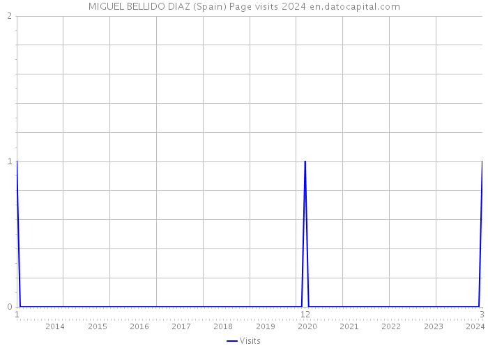 MIGUEL BELLIDO DIAZ (Spain) Page visits 2024 