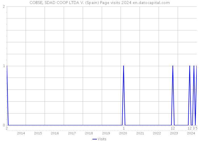 COBSE, SDAD COOP LTDA V. (Spain) Page visits 2024 