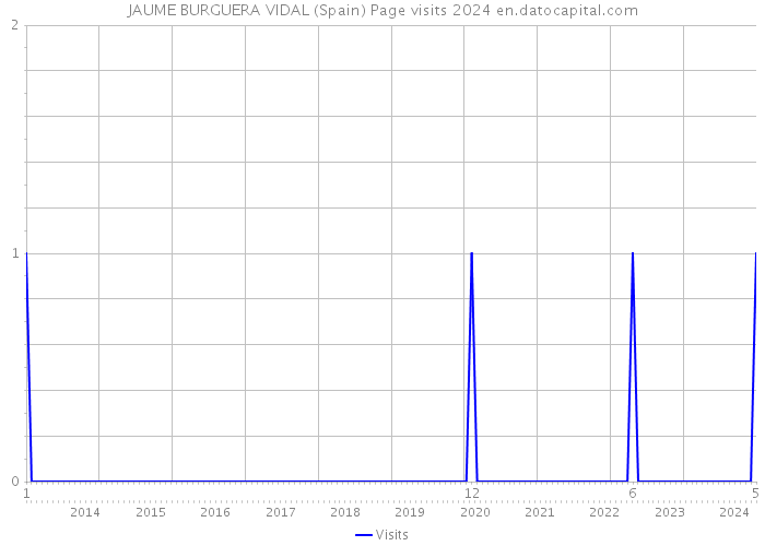 JAUME BURGUERA VIDAL (Spain) Page visits 2024 