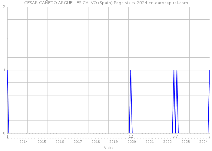 CESAR CAÑEDO ARGUELLES CALVO (Spain) Page visits 2024 