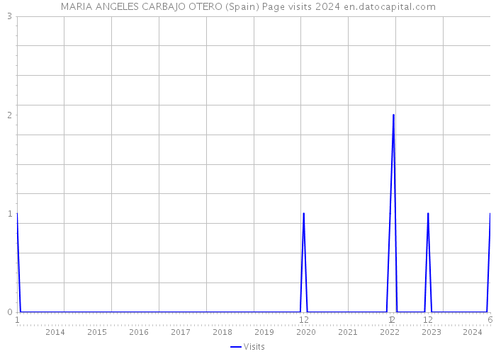 MARIA ANGELES CARBAJO OTERO (Spain) Page visits 2024 