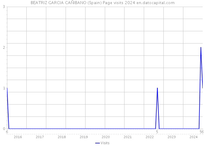 BEATRIZ GARCIA CAÑIBANO (Spain) Page visits 2024 