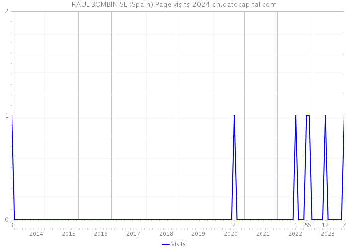 RAUL BOMBIN SL (Spain) Page visits 2024 