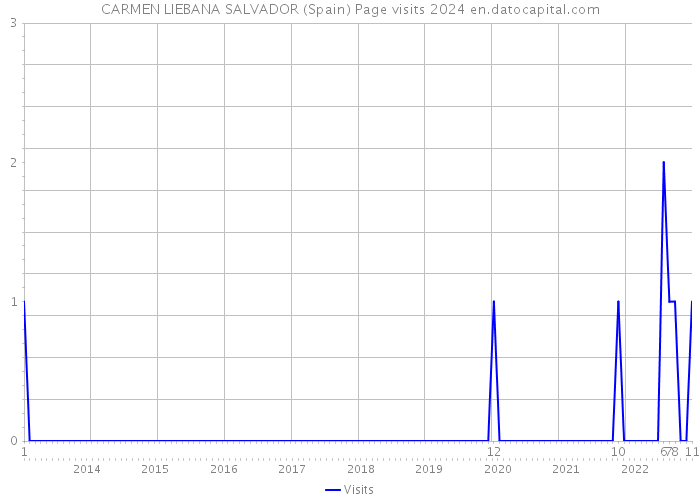 CARMEN LIEBANA SALVADOR (Spain) Page visits 2024 