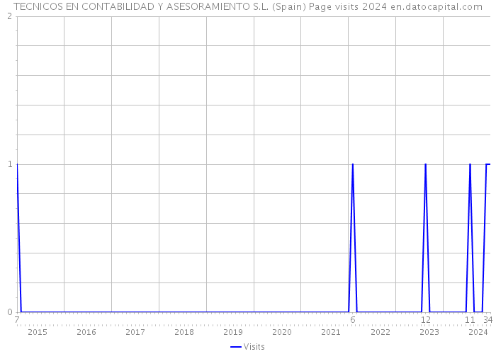 TECNICOS EN CONTABILIDAD Y ASESORAMIENTO S.L. (Spain) Page visits 2024 