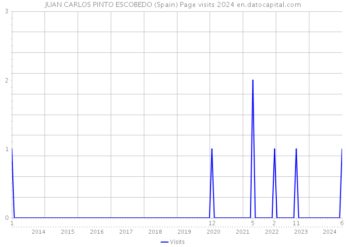 JUAN CARLOS PINTO ESCOBEDO (Spain) Page visits 2024 