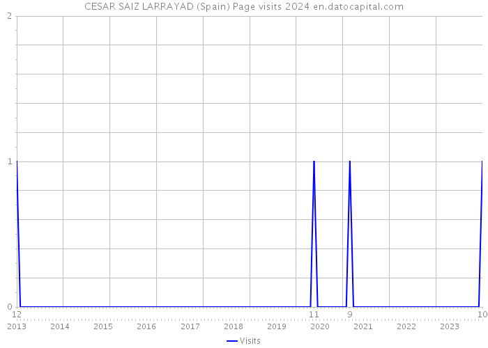 CESAR SAIZ LARRAYAD (Spain) Page visits 2024 