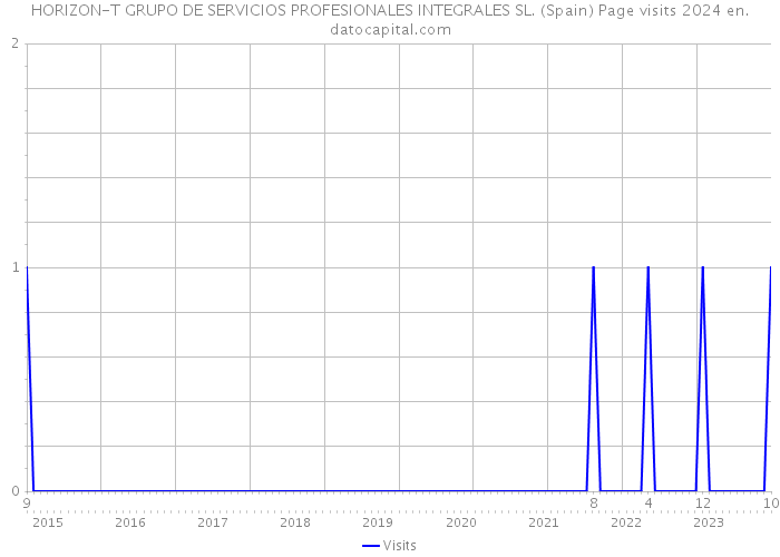 HORIZON-T GRUPO DE SERVICIOS PROFESIONALES INTEGRALES SL. (Spain) Page visits 2024 