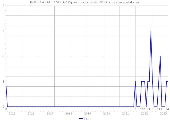 ROCIO ARAUJO SOLAR (Spain) Page visits 2024 