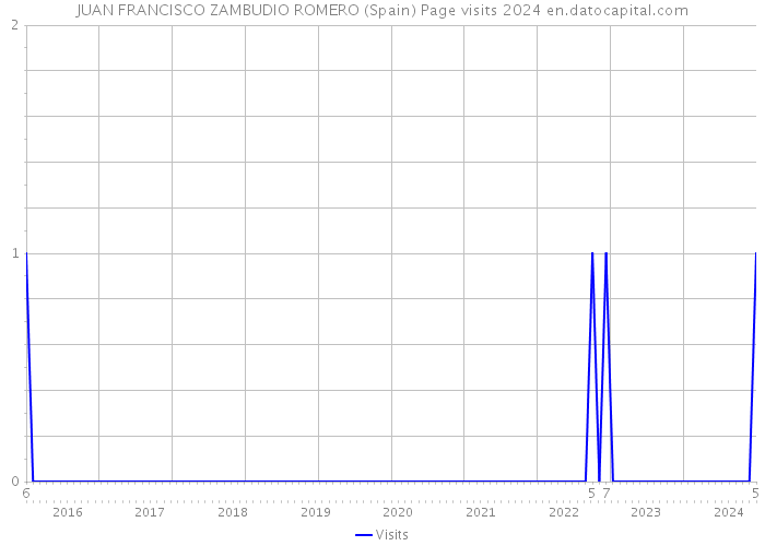 JUAN FRANCISCO ZAMBUDIO ROMERO (Spain) Page visits 2024 