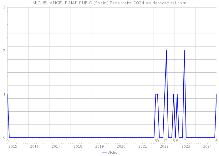 MIGUEL ANGEL PINAR RUBIO (Spain) Page visits 2024 