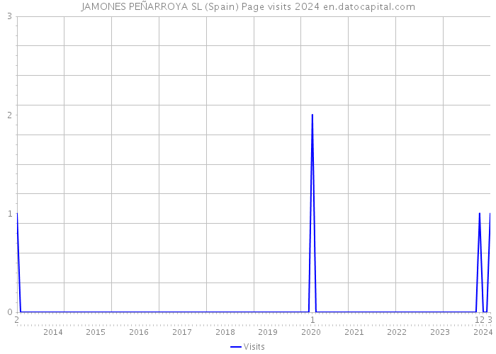 JAMONES PEÑARROYA SL (Spain) Page visits 2024 