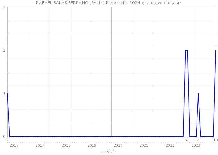 RAFAEL SALAS SERRANO (Spain) Page visits 2024 