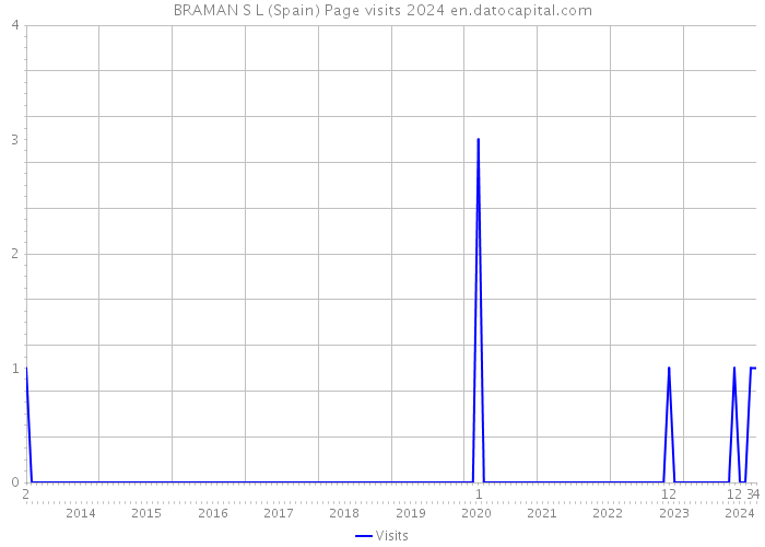 BRAMAN S L (Spain) Page visits 2024 