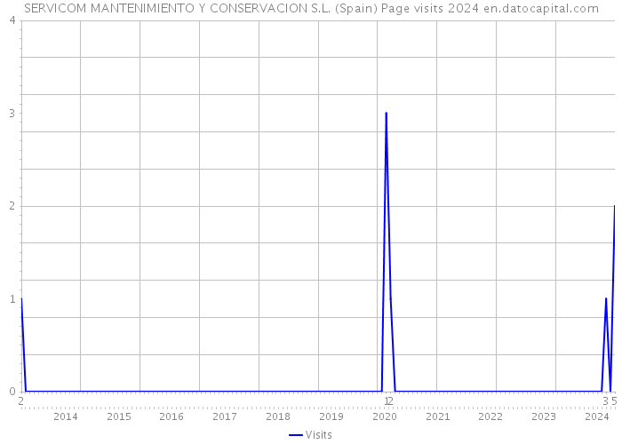 SERVICOM MANTENIMIENTO Y CONSERVACION S.L. (Spain) Page visits 2024 
