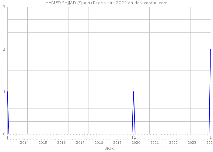 AHMED SAJJAD (Spain) Page visits 2024 
