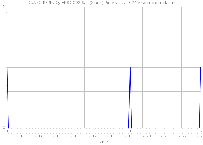 DUASO PERRUQUERS 2002 S.L. (Spain) Page visits 2024 